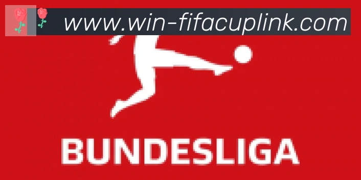 FIFA世界杯下注入口合作伙伴